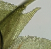 In arrivo la seconda edizione della scuola di microscopia ottica per i beni culturali